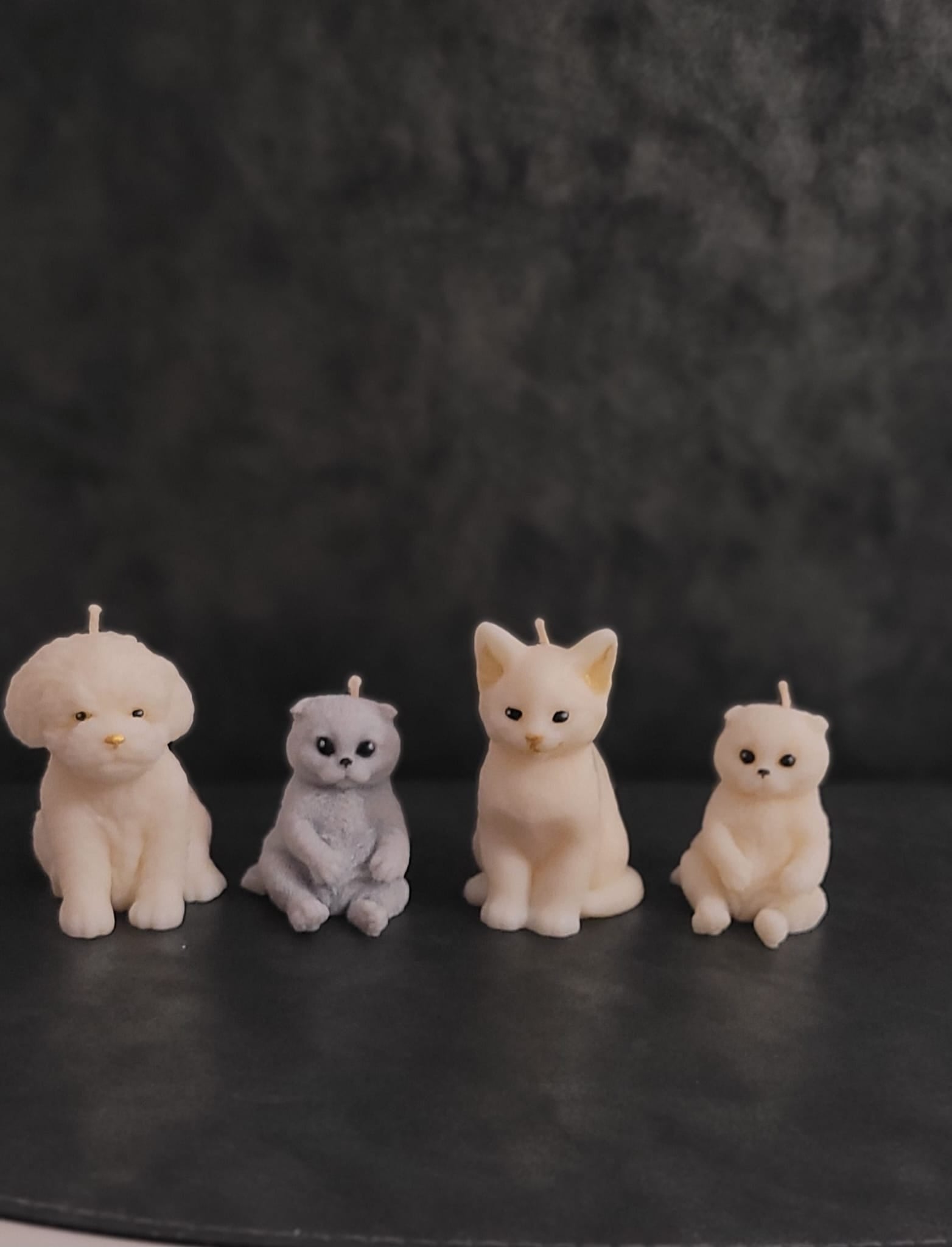 Świeca sojowa piesek i kotki — prezent dla miłośników zwierząt | Candle by Ann