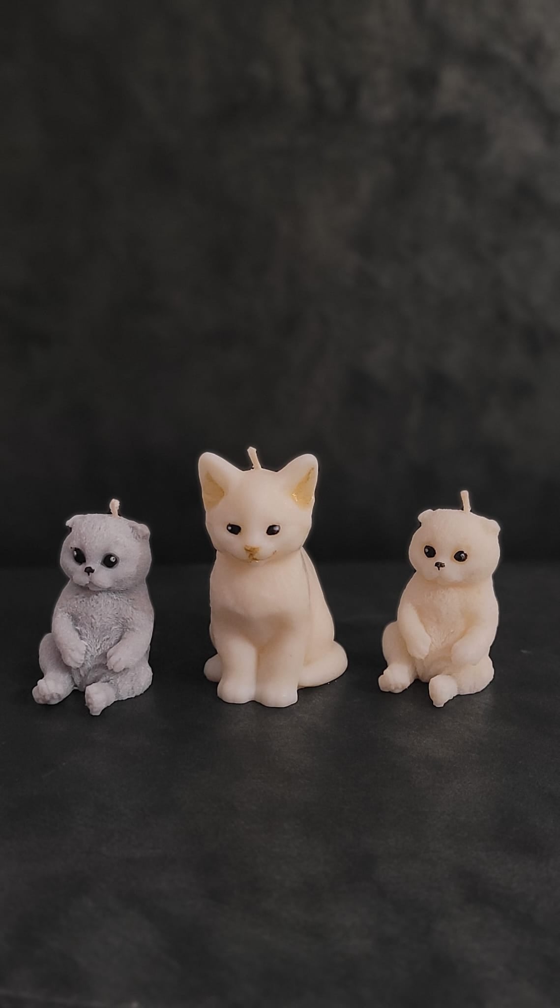 Świeca sojowa piesek i kotki — prezent dla miłośników zwierząt | Candle by Ann