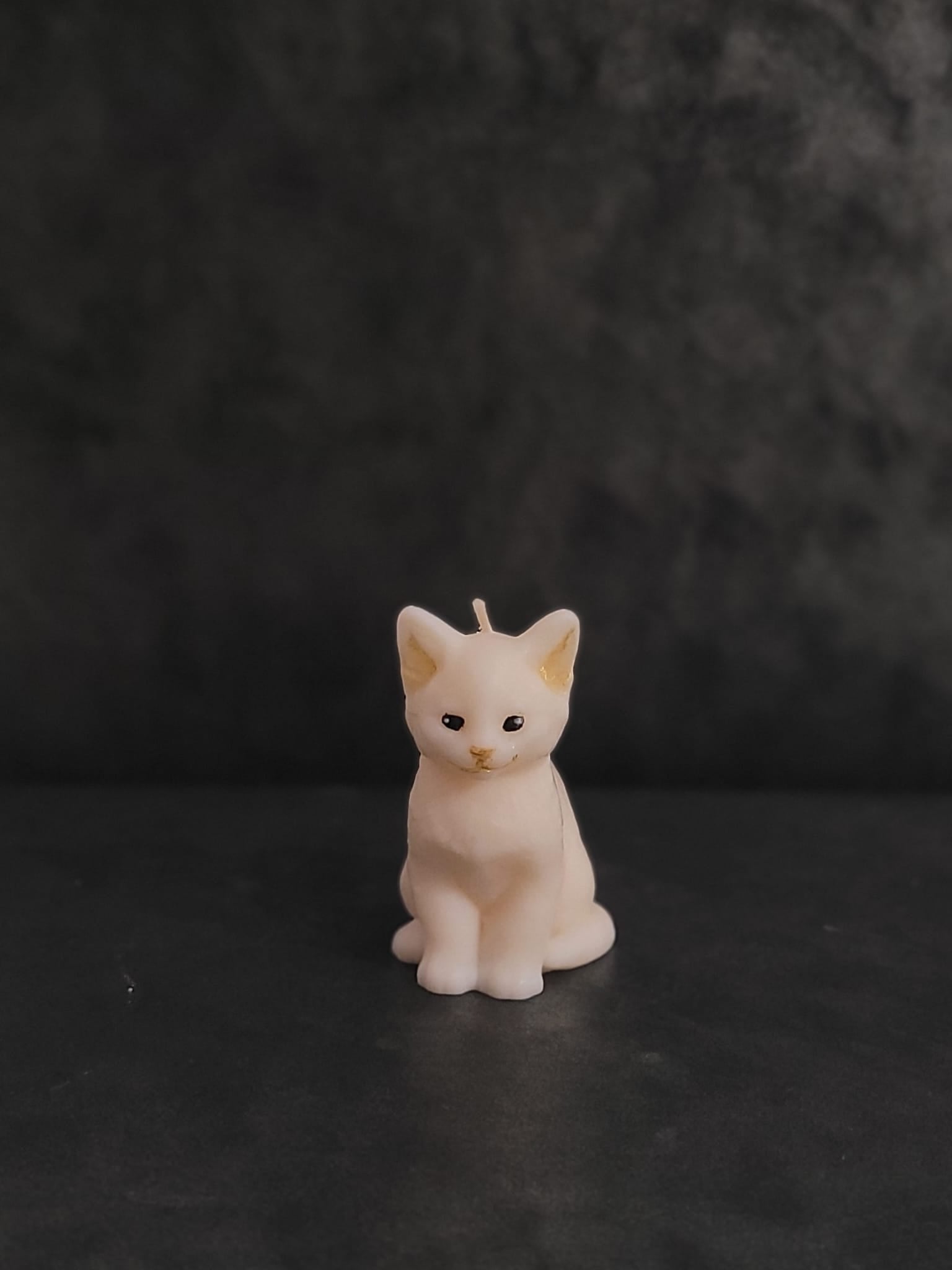 Świeca sojowa piesek i kotki — prezent dla miłośników zwierząt | Candle by Ann