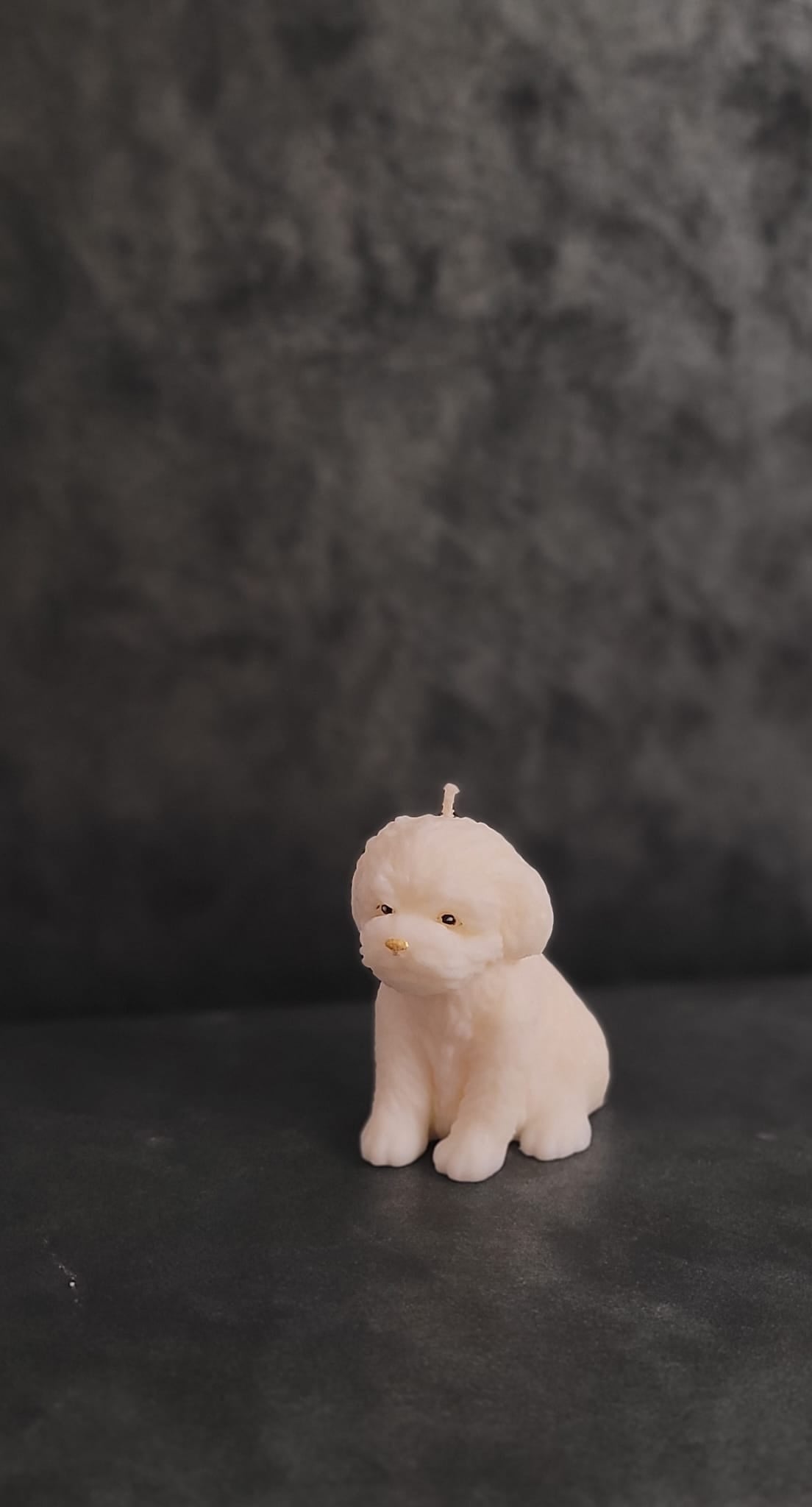 Świeca sojowa piesek i kotki — prezent dla miłośników zwierząt | Candle by Ann