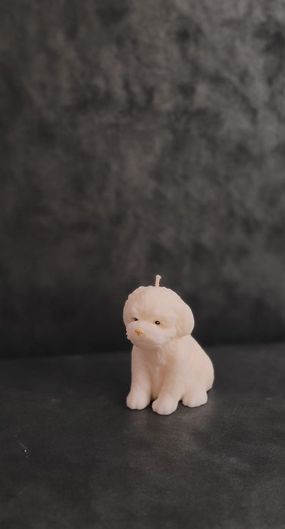 Świeca sojowa piesek i kotki — prezent dla miłośników zwierząt | Candle by Ann